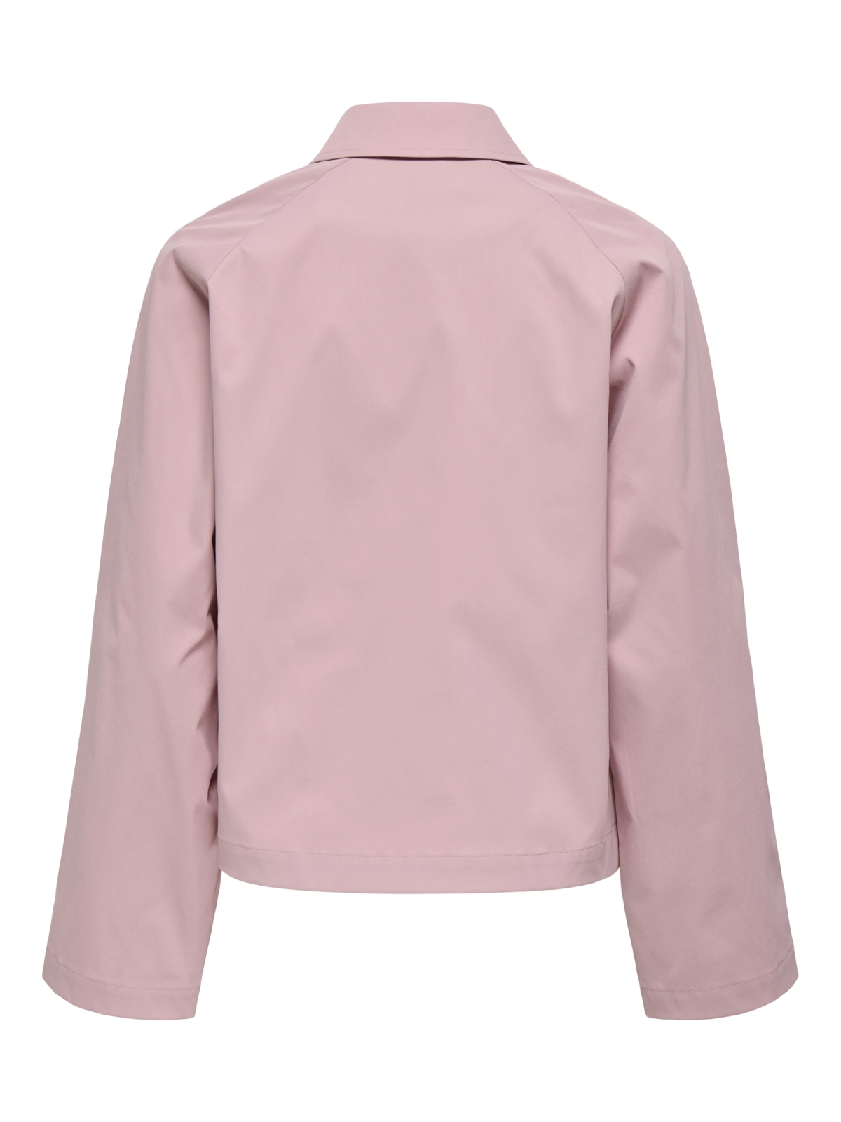 GABARDINA ROSA