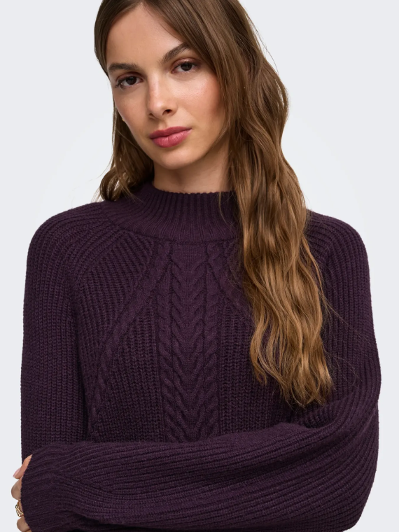 JERSEY CUELLO ALTO MORADO